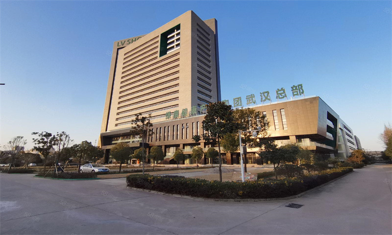 绿瘦健康产业集团武汉总部