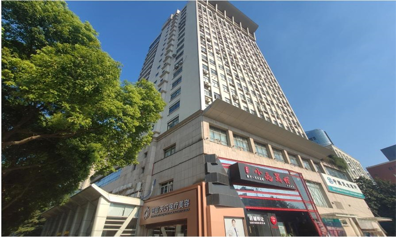 元辰国际
